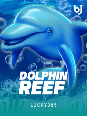 Dolphin Reef